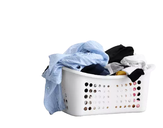 Laundry Services in hauz , Best laundry Services in hauz khas ,